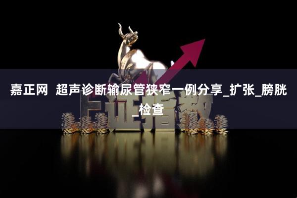 嘉正网  超声诊断输尿管狭窄一例分享_扩张_膀胱_检查