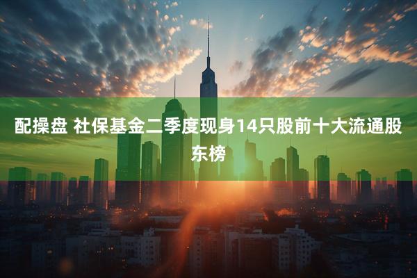 配操盘 社保基金二季度现身14只股前十大流通股东榜