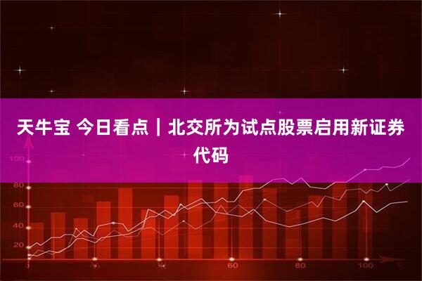 天牛宝 今日看点｜北交所为试点股票启用新证券代码