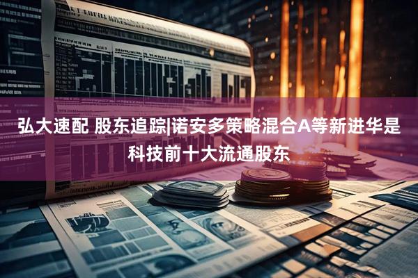 弘大速配 股东追踪|诺安多策略混合A等新进华是科技前十大流通股东
