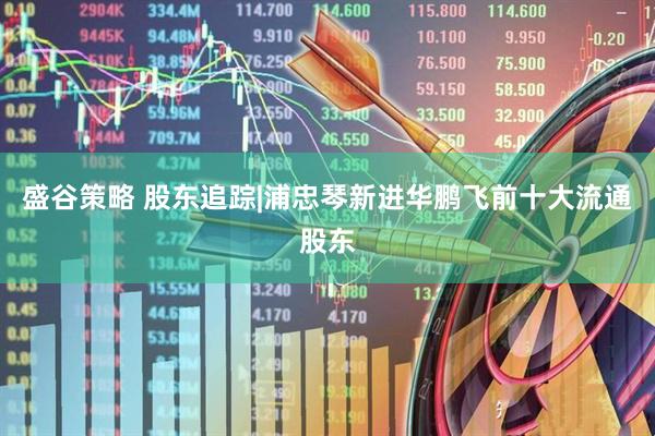 盛谷策略 股东追踪|浦忠琴新进华鹏飞前十大流通股东
