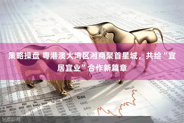 策略操盘 粤港澳大湾区湘商聚首星城，共绘“宜居宜业”合作新篇章