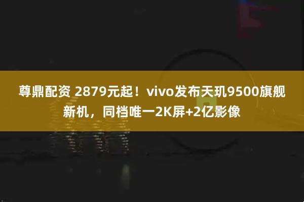 尊鼎配资 2879元起！vivo发布天玑9500旗舰新机，同档唯一2K屏+2亿影像